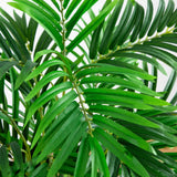 4’ Areca Artificial Palm Tree in Sand Colored Planter-Parc Decor