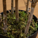 4’ Bamboo Artificial Tree (Real Touch) UV Resistant (Indoor/Outdoor)-Parc Decor