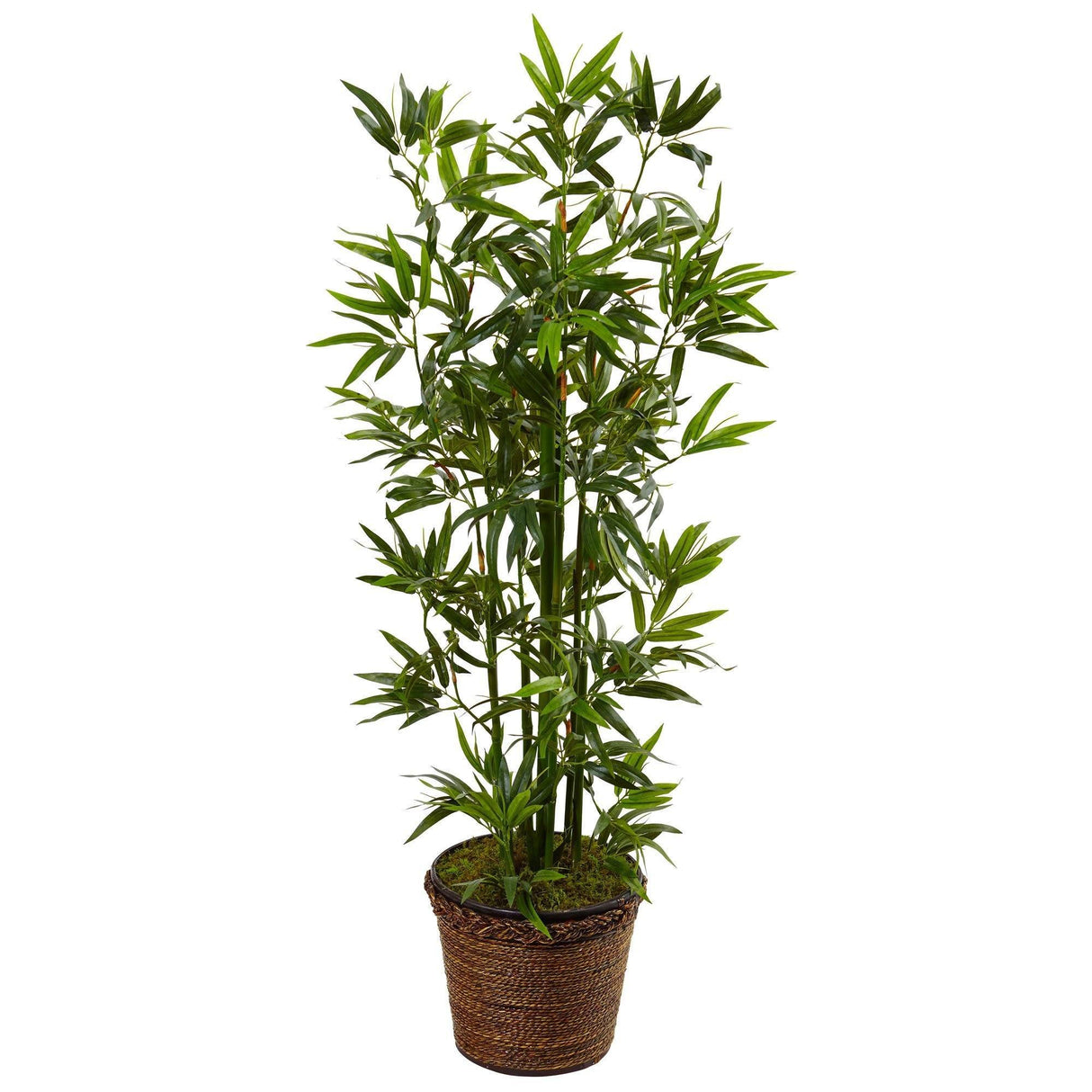 4’ Bamboo Tree in Coiled Rope Planter-Parc Decor