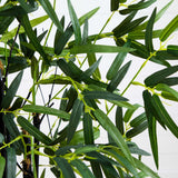 4’ Black Bamboo Tree-Parc Decor
