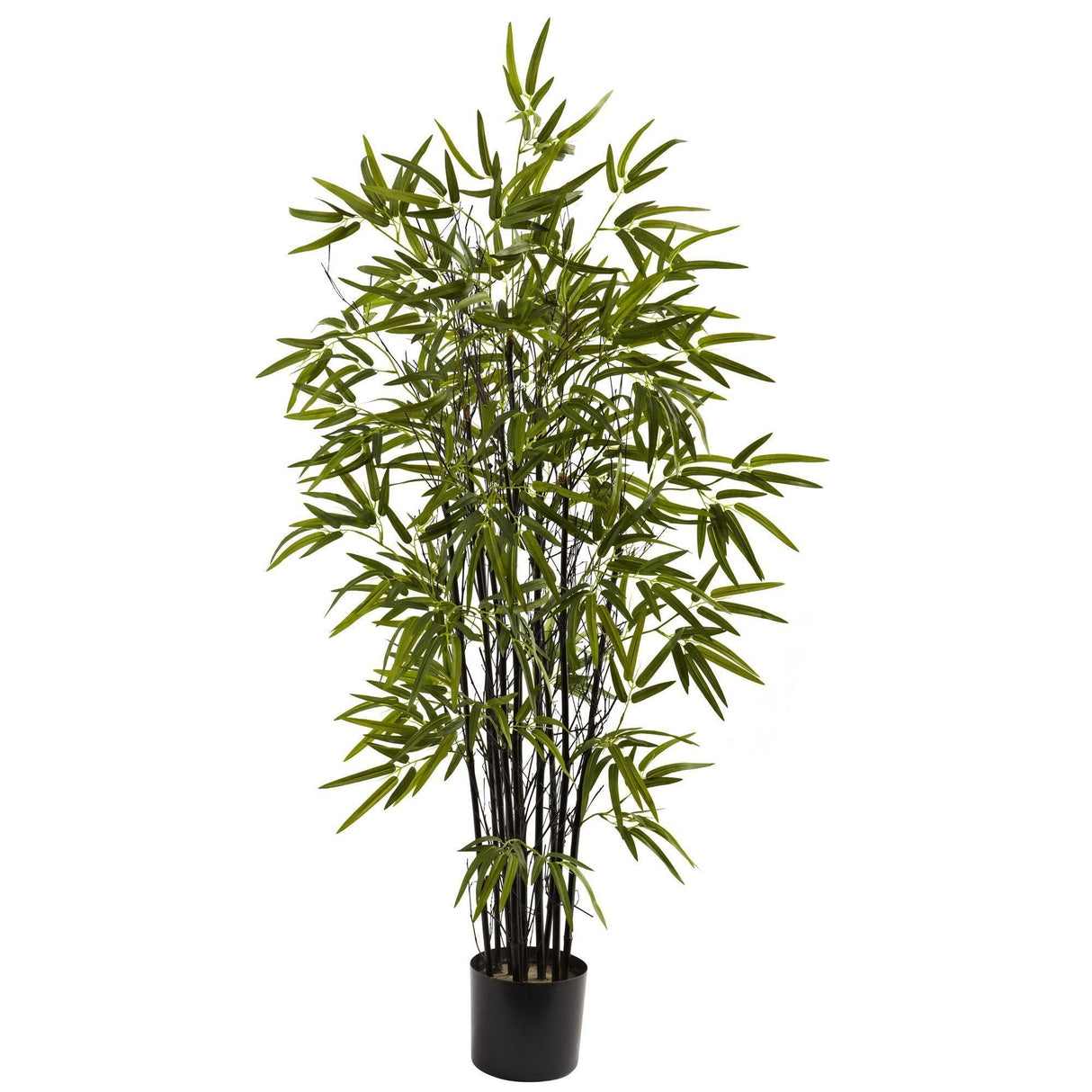 4’ Black Bamboo Tree-Parc Decor