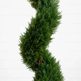 4' Cedar Spiral Silk Tree (In-door/Out-door)-Parc Decor
