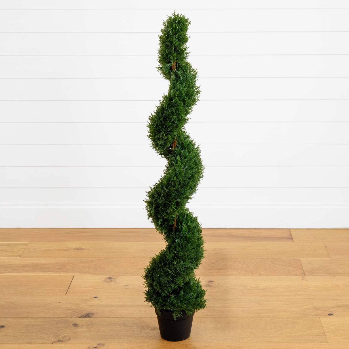4' Cedar Spiral Silk Tree (In-door/Out-door)-Parc Decor