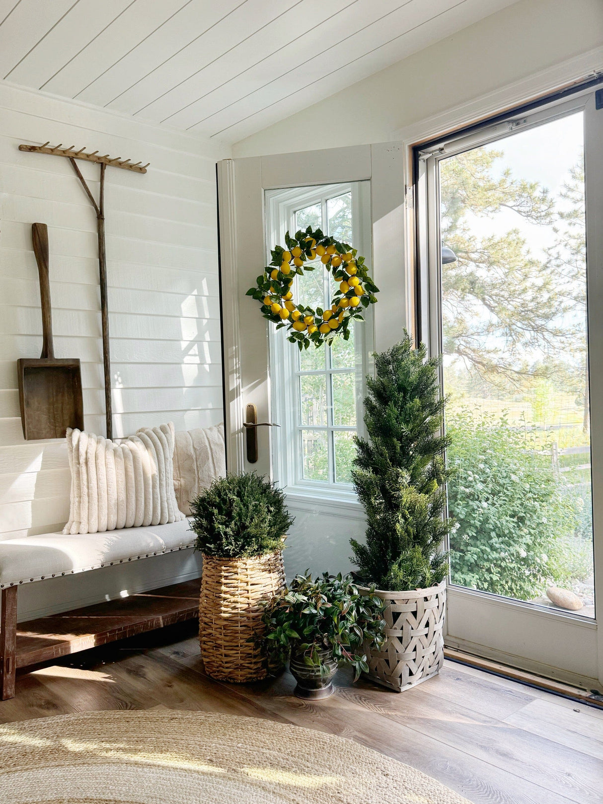 4' Cedar Tree Silk Tree (Indoor/Outdoor)-Parc Decor