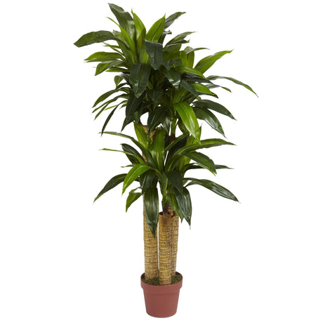 4' Corn Stalk Dracaena Silk Plant (Real Touch)-Parc Decor