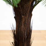 4’ Cycas Tree UV Resistant (Indoor/Outdoor)-Parc Decor