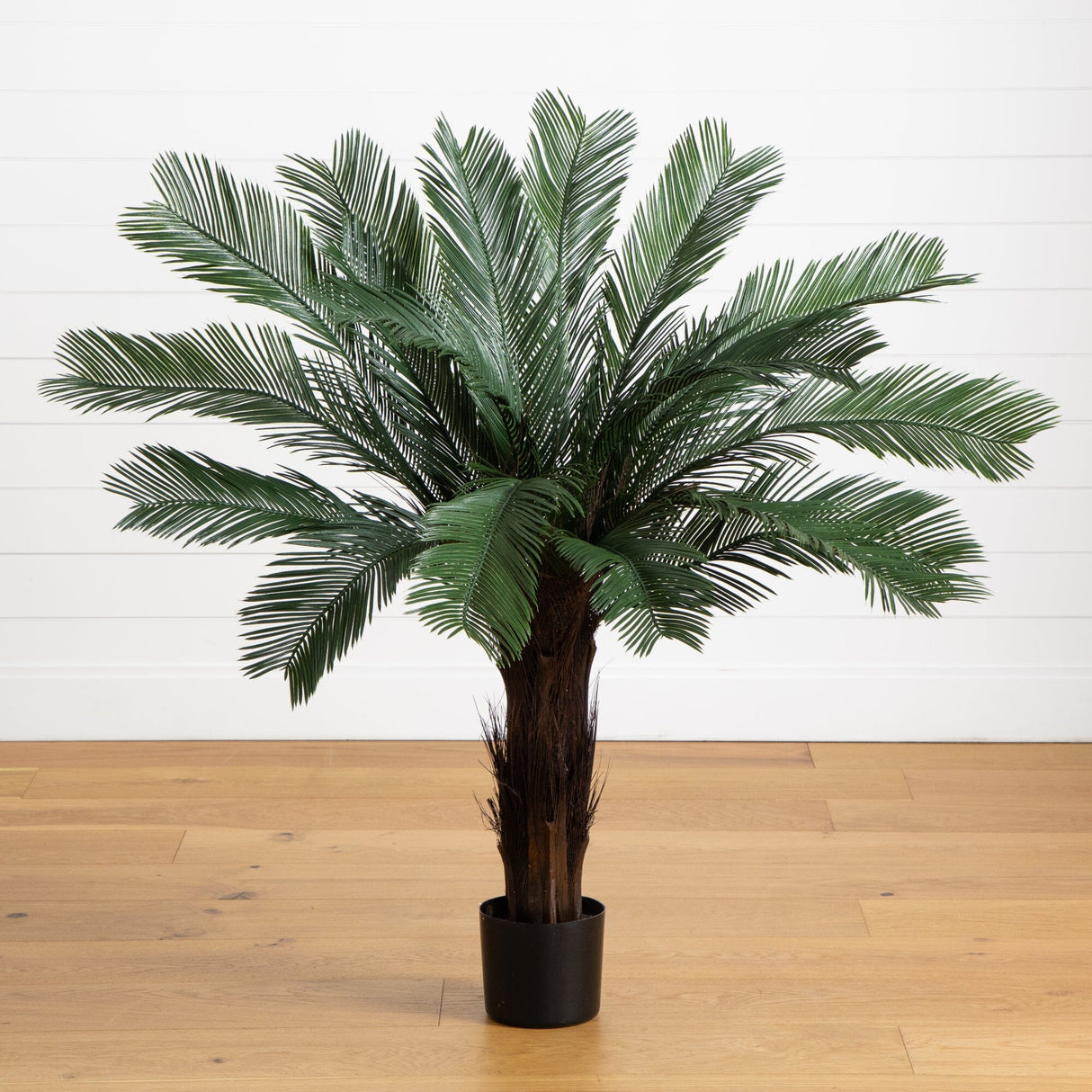 4’ Cycas Tree UV Resistant (Indoor/Outdoor)-Parc Decor