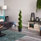 4' Cypress Spirial Silk Tree-Parc Decor