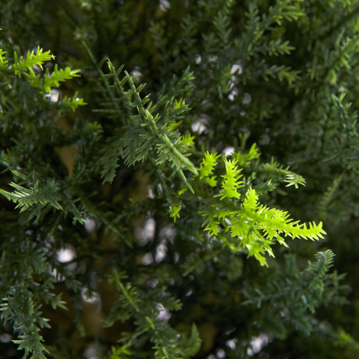 4' Double Ball Cypress Topiary UV Resistant (Indoor/Outdoor)-Parc Decor