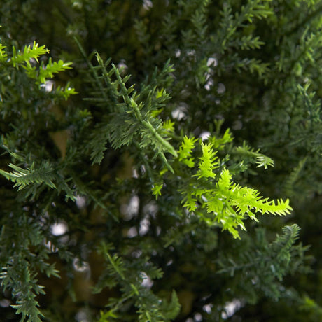 4' Double Ball Cypress Topiary UV Resistant (Indoor/Outdoor)-Parc Decor