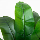 4’ Double Stalk Banana Artificial Tree-Parc Decor