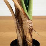 4’ Double Stalk Banana Artificial Tree-Parc Decor