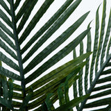 4’ Double Stalk Golden Cane Artificial Palm Tree-Parc Decor