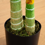 4’ Double Stalk Golden Cane Artificial Palm Tree-Parc Decor