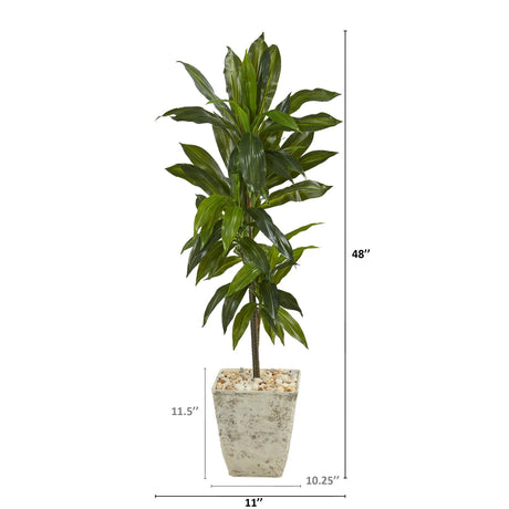 4’ Dracaena Artificial Plant in Country White Planter (Real Touch)-Parc Decor