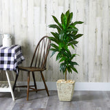 4’ Dracaena Artificial Plant in Country White Planter (Real Touch)-Parc Decor