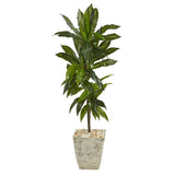 4’ Dracaena Artificial Plant in Country White Planter (Real Touch)-Parc Decor