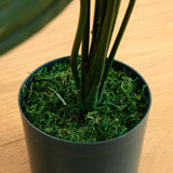 4' Faux Kentia Palm Silk Tree-Parc Decor