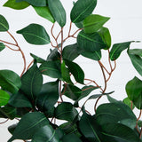 4' Ficus Auriculata Artificial Silk Tree-Parc Decor
