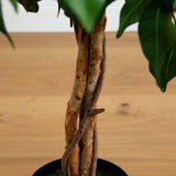 4' Ficus Auriculata Artificial Silk Tree-Parc Decor