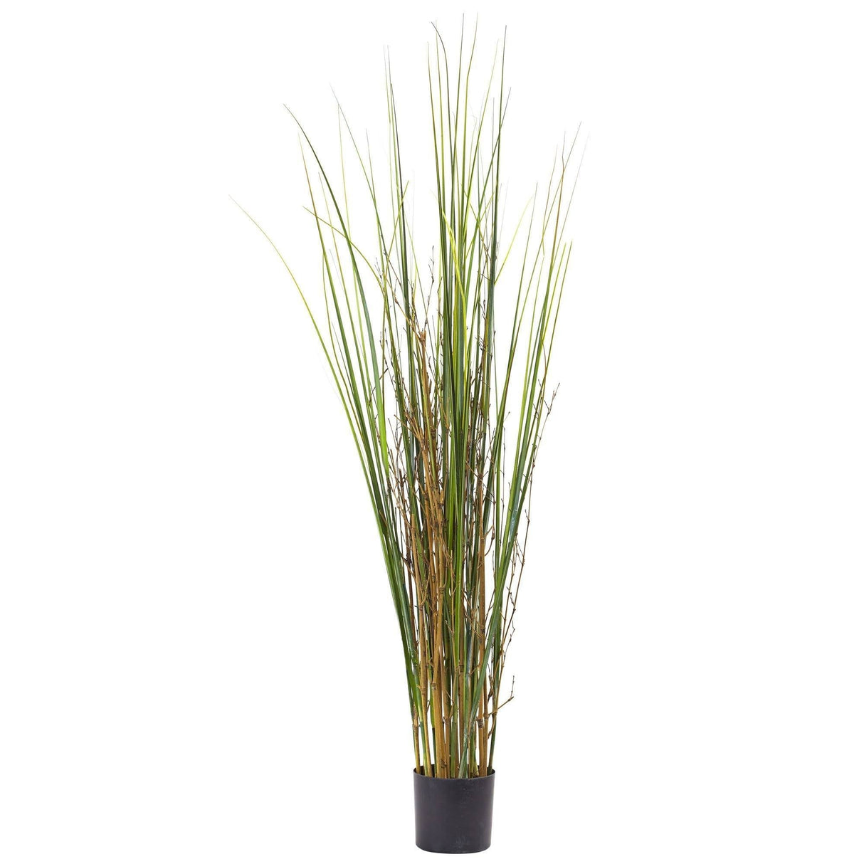4' Grass & Bamboo Plant-Parc Decor
