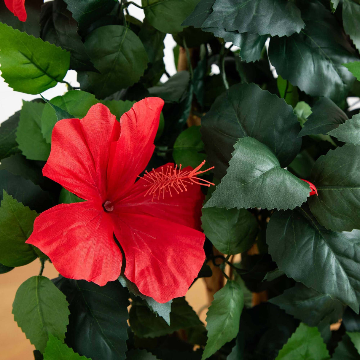 4’ Hibiscus Tree-Parc Decor