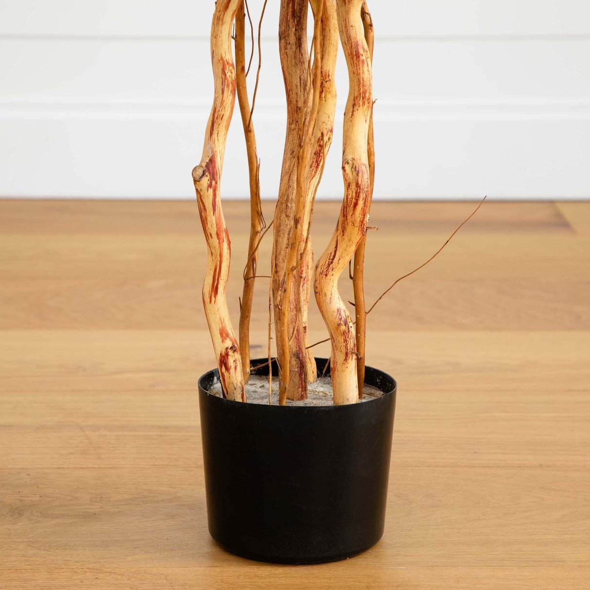 4’ Hibiscus Tree-Parc Decor