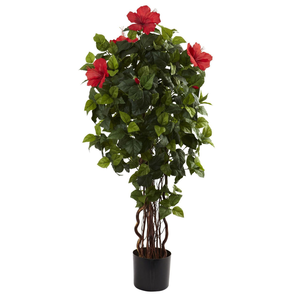 4’ Hibiscus Tree-Parc Decor