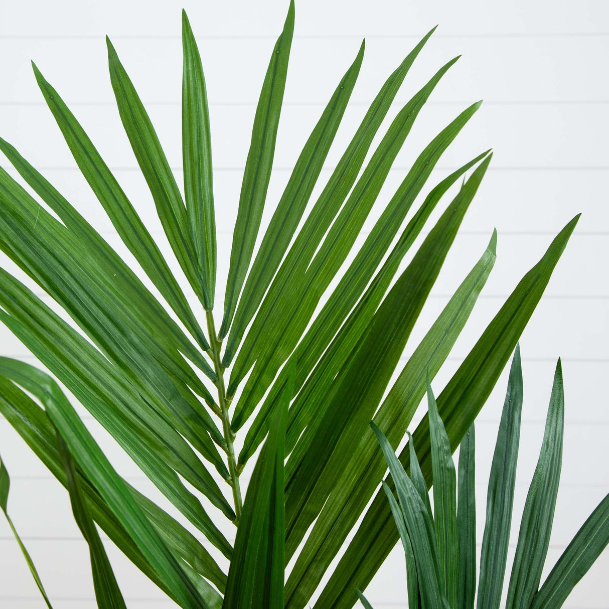 4' Kentia Palm Artificial Silk Tree-Parc Decor