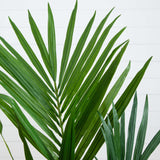 4' Kentia Palm Artificial Silk Tree-Parc Decor