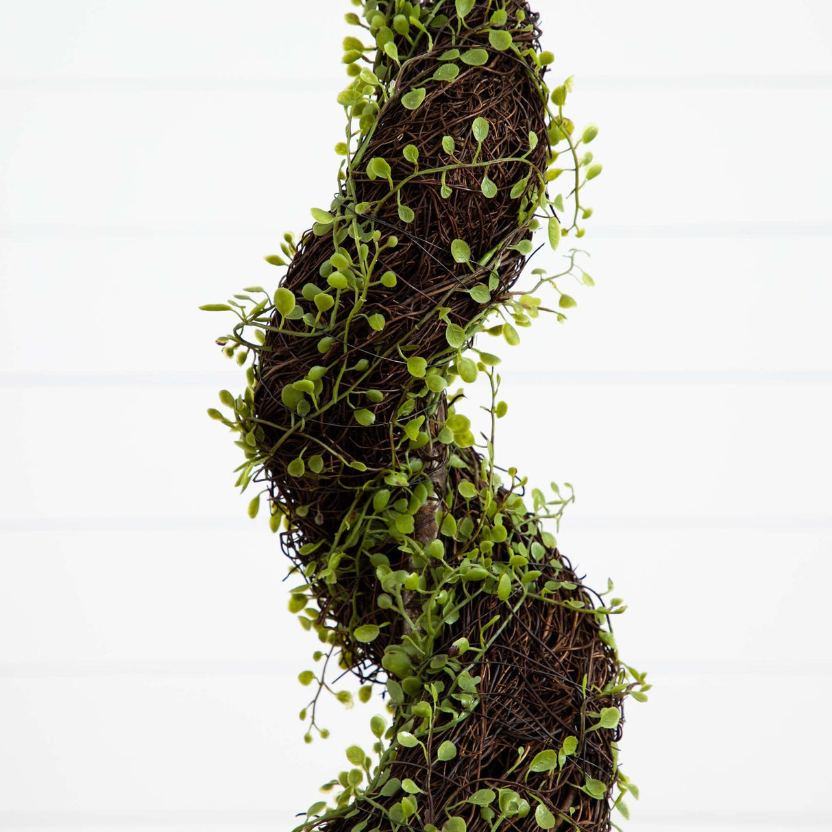 4’ Mohlenbechia Spiral Tree-Parc Decor