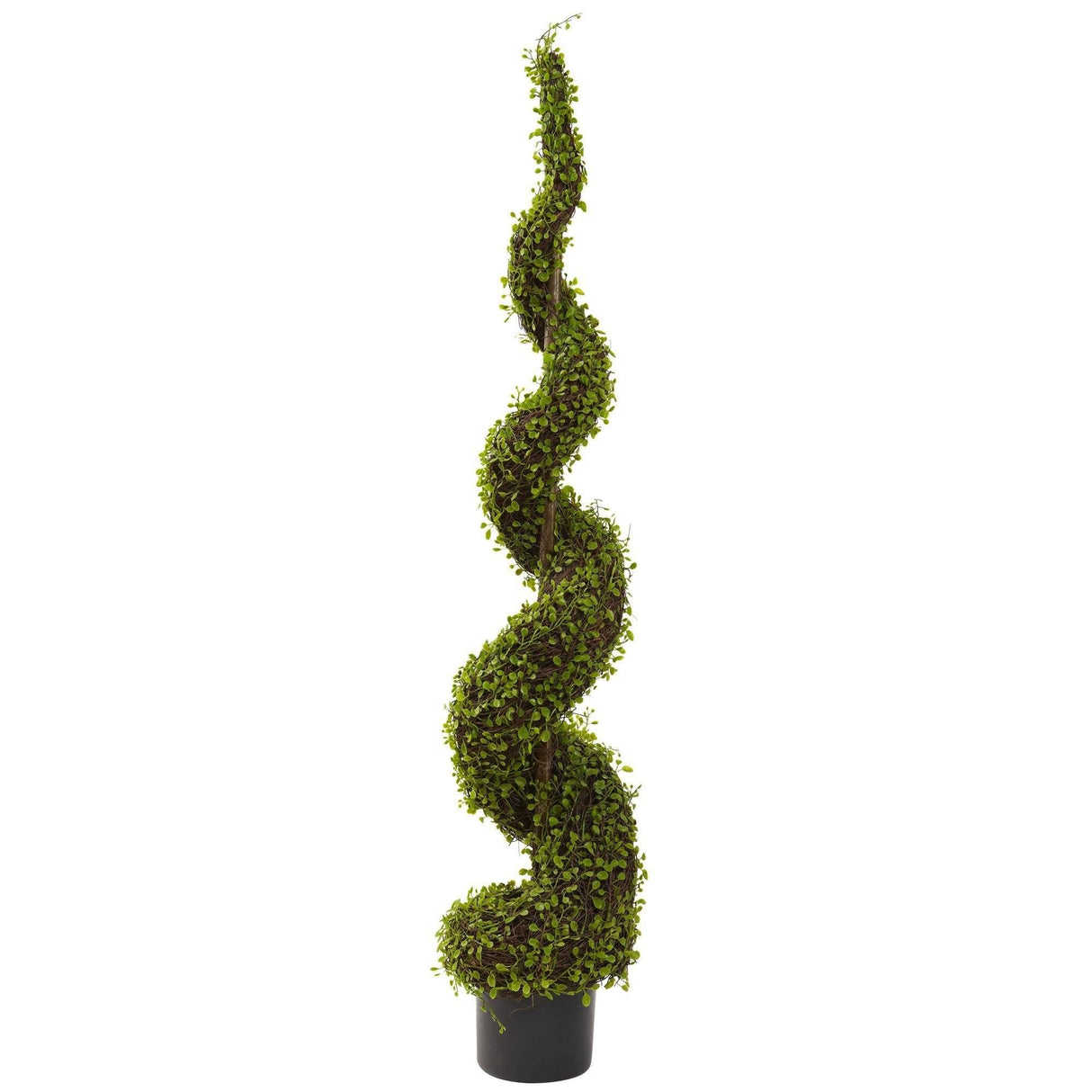 4’ Mohlenbechia Spiral Tree-Parc Decor