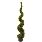 4’ Mohlenbechia Spiral Tree-Parc Decor