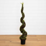 4’ Mohlenbechia Spiral Tree-Parc Decor