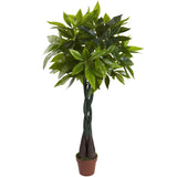 4’ Money Plant (Real Touch)-Parc Decor