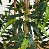 4' Multi Bambusa Bamboo Silk Tree-Parc Decor