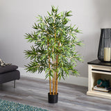 4' Multi Bambusa Bamboo Silk Tree-Parc Decor