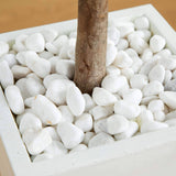 4’ Olive Topiary Artificial Tree in White Planter(Indoor/Outdoor)-Parc Decor