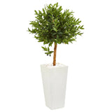 4’ Olive Topiary Artificial Tree in White Planter(Indoor/Outdoor)-Parc Decor