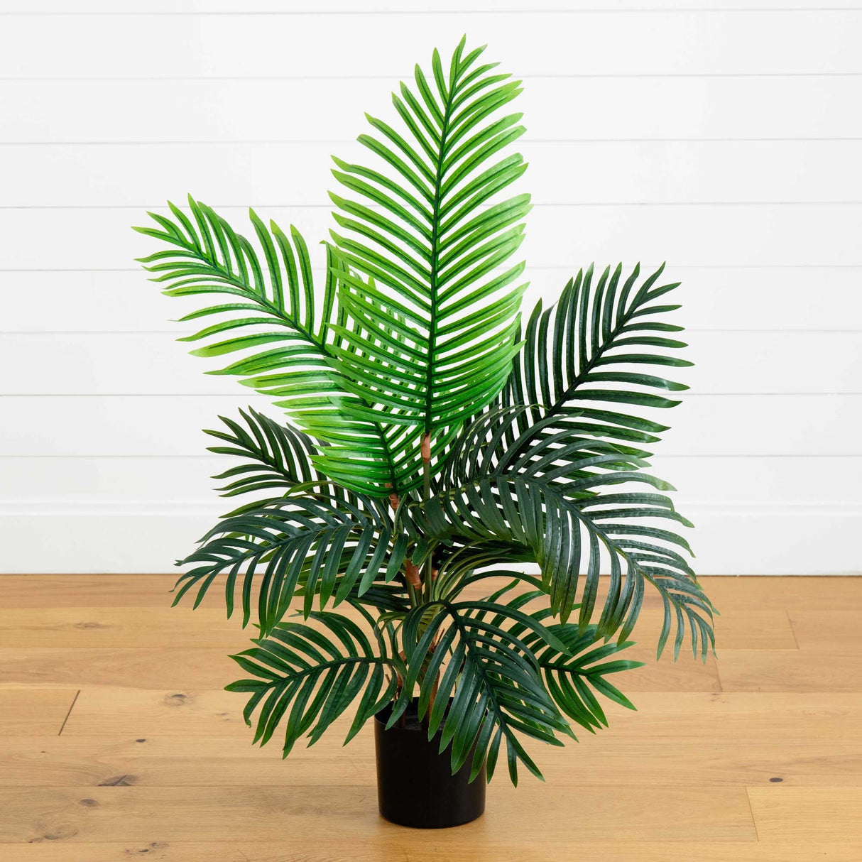4’ Paradise Palm Artificial Tree in Nursery Planter-Parc Decor