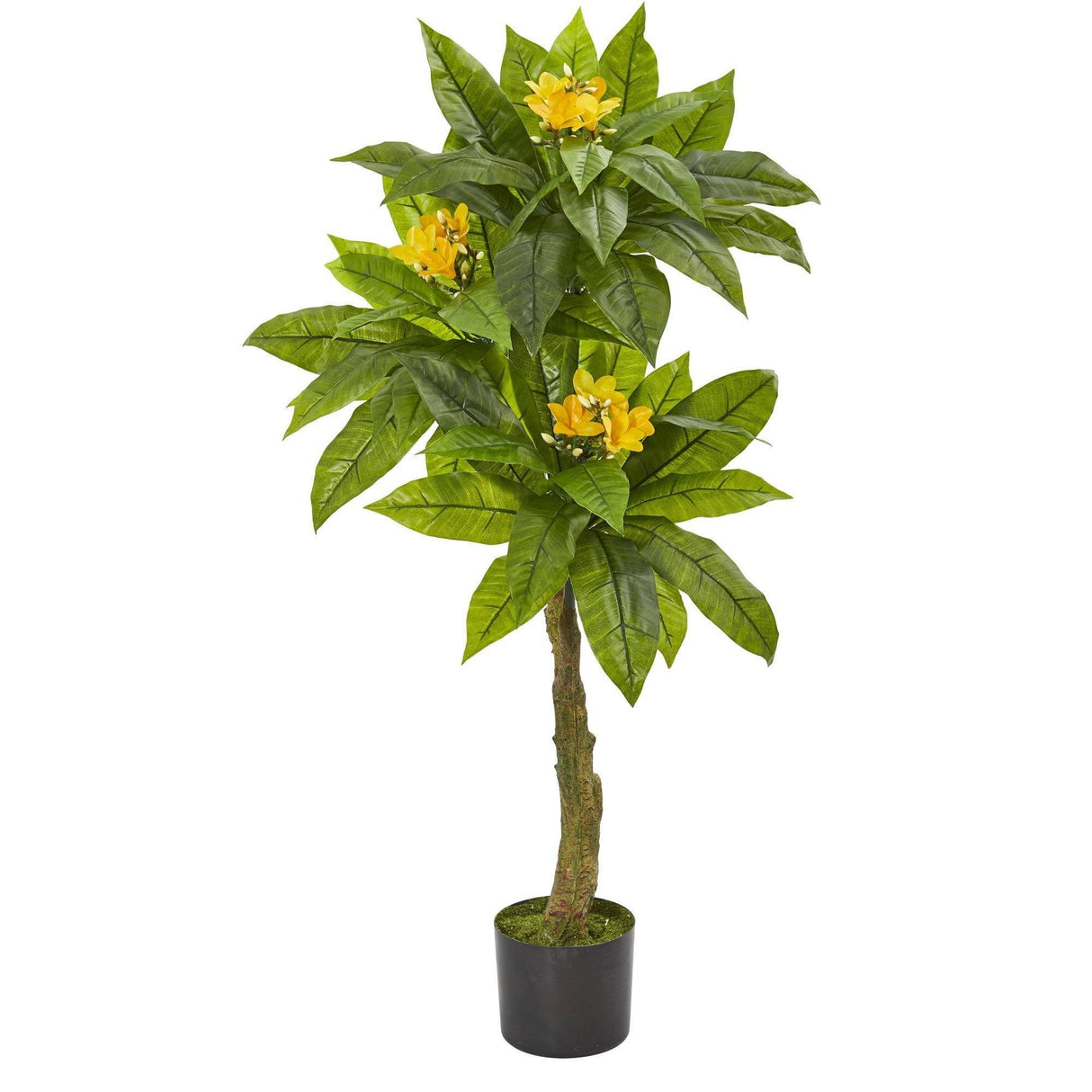 4' Plumeria Artificial Tree UV Resistant (Indoor/Outdoor)-Parc Decor
