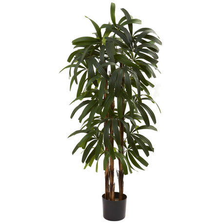4’ Raphis Palm Tree-Parc Decor