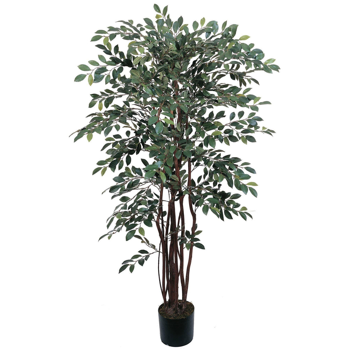 4' Ruscus Silk Tree-Parc Decor