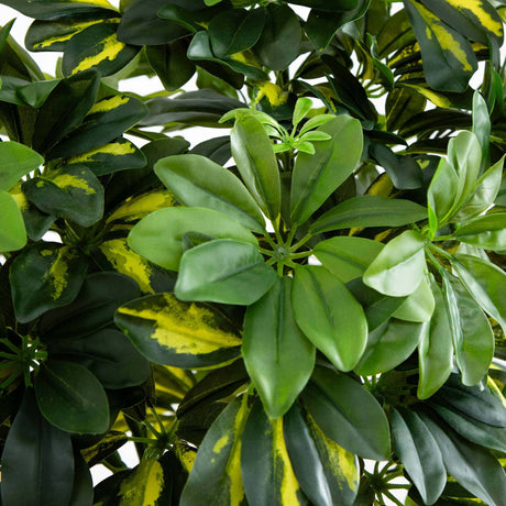 4’ Schefflera Silk Tree (Real Touch)-Parc Decor