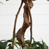 4' Sweet Bay Double Ball Topiary Silk Tree-Parc Decor