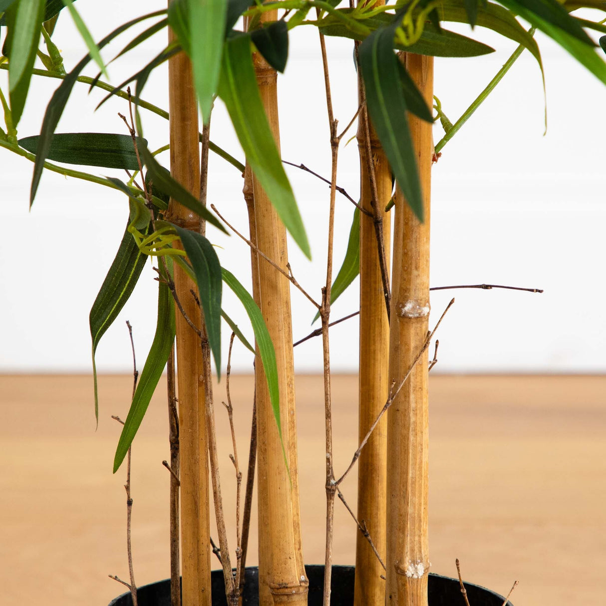 4’ Twiggy Bamboo Tree-Parc Decor