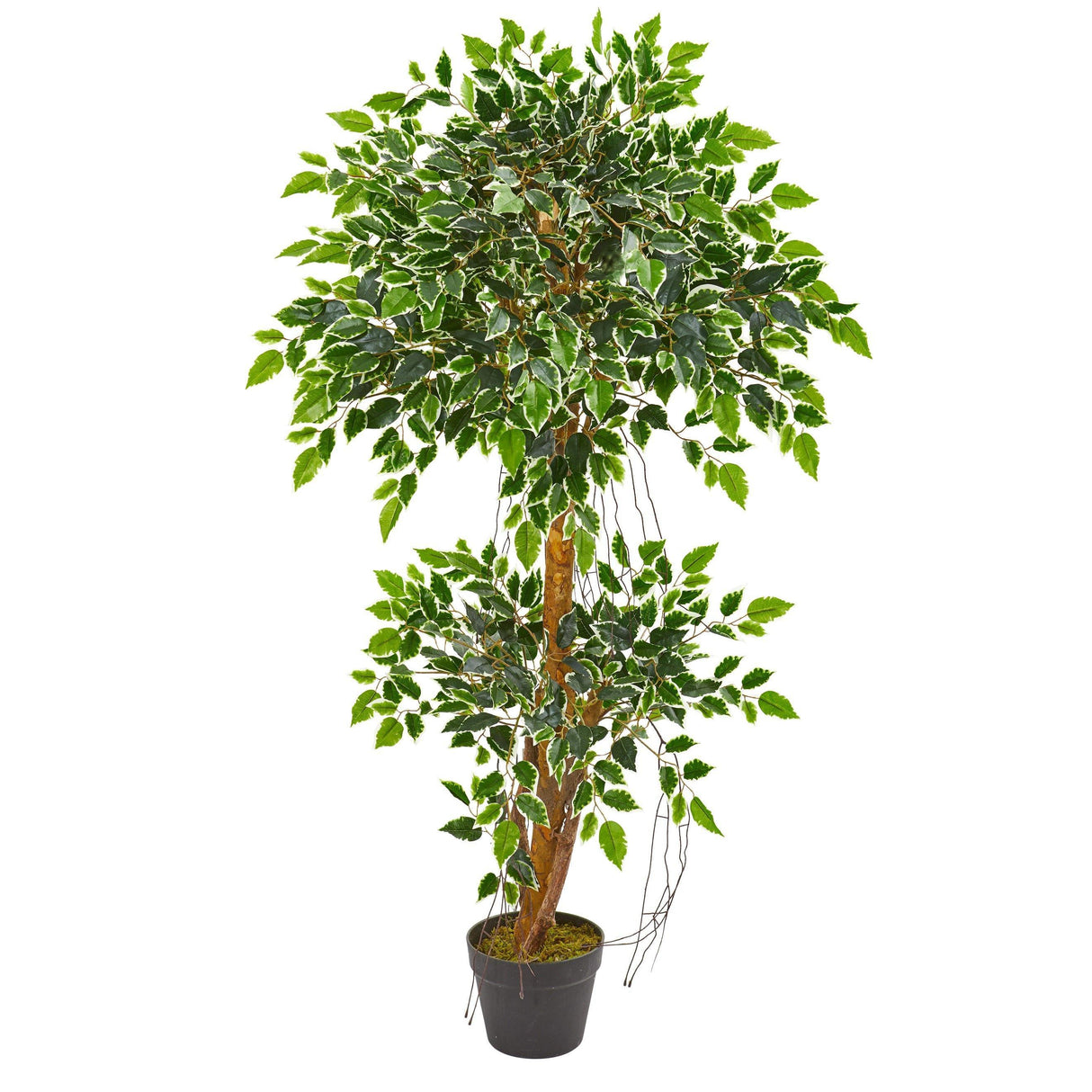 4’ Variegated Ficus Artificial Tree-Parc Decor