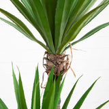 4’ Yucca Artificial Tree-Parc Decor
