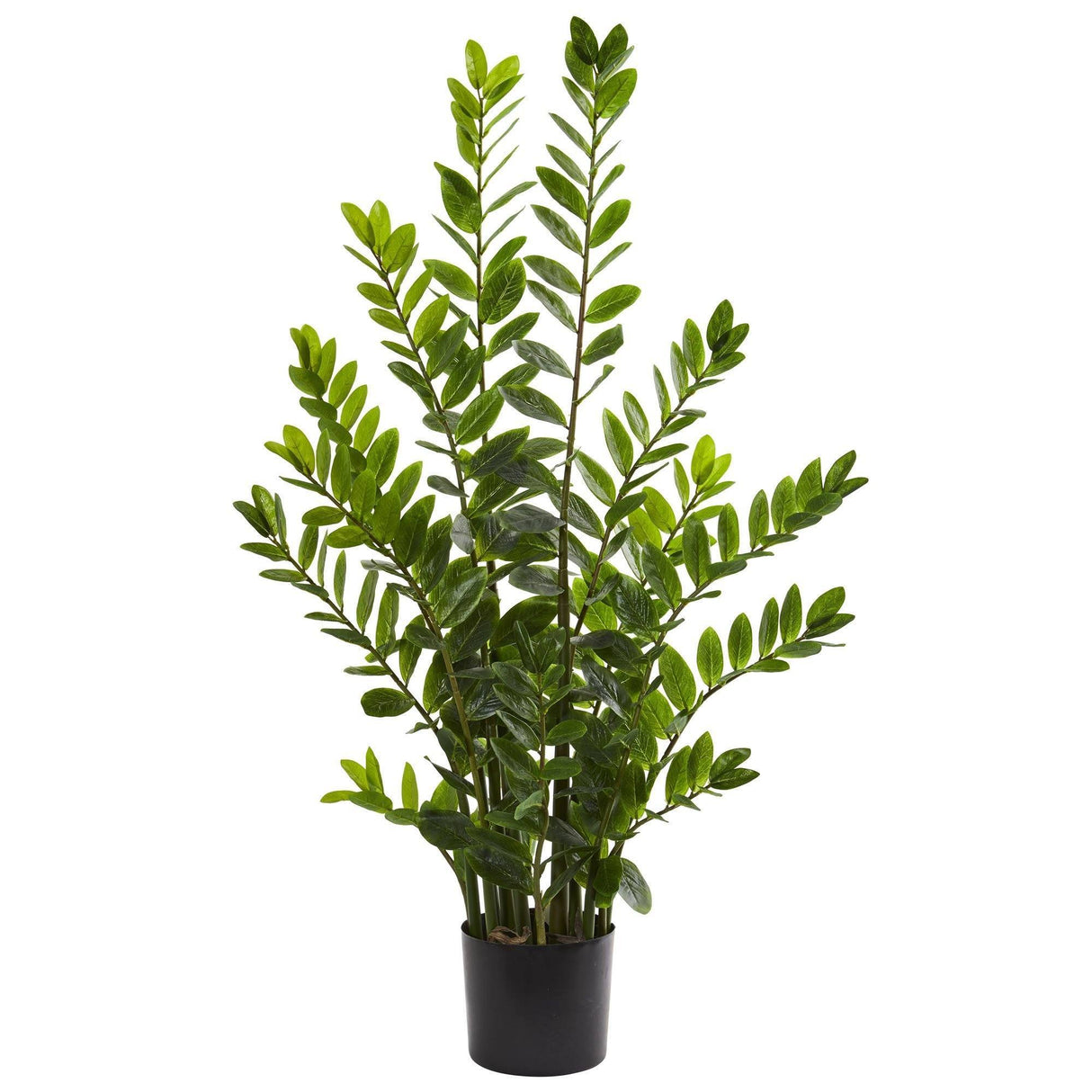 4’ Zamioculcas Artificial Plant-Parc Decor