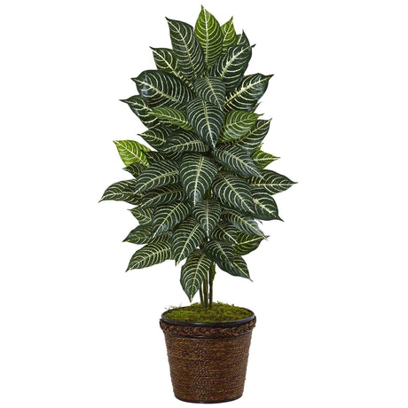 4’ Zebra Plant in Coiled Rope Planter-Parc Decor